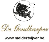 Logo 2020 1 200×170